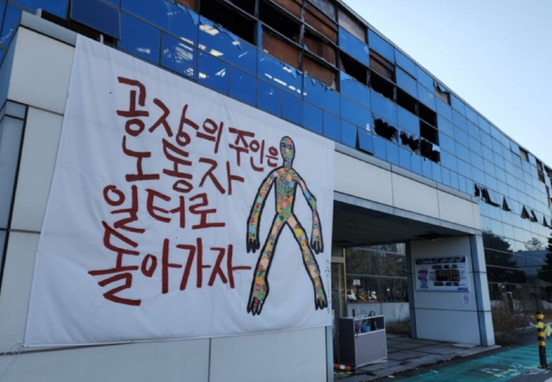 옵티컬.jpg